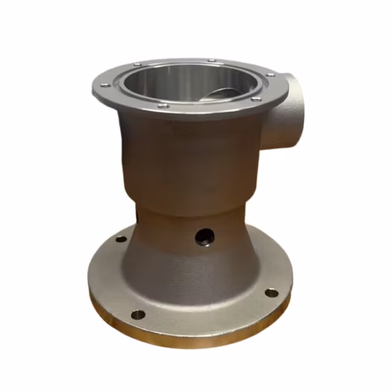 Parti di fusione di precisione in acciaio inossidabile lucidato OEM